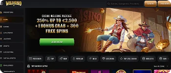Wildsino Casino